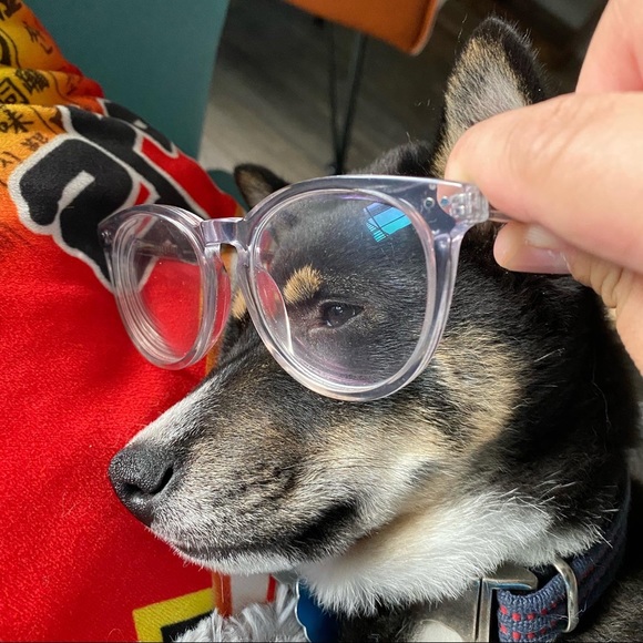 Meet your Posher, Jodie - Picture 1 of 7